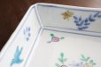 画像5: 色絵鹿に草花文四方鉢　/　清水なお子