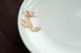 画像6: 色絵葡萄に栗鼠文5寸皿　/　清水なお子