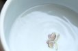 画像8: 色絵桃に蝶二段重　/　清水なお子