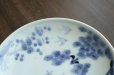 画像4: 遊鹿文5寸皿　/　清水なお子