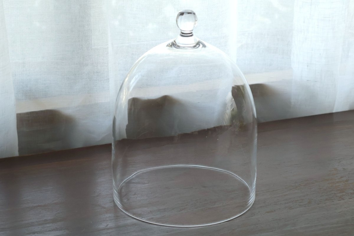 画像1: 大きいドーム　M　/　津村里佳 (1)