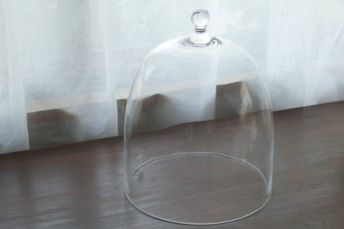 画像1: 大きいドーム　L　/　津村里佳 (1)