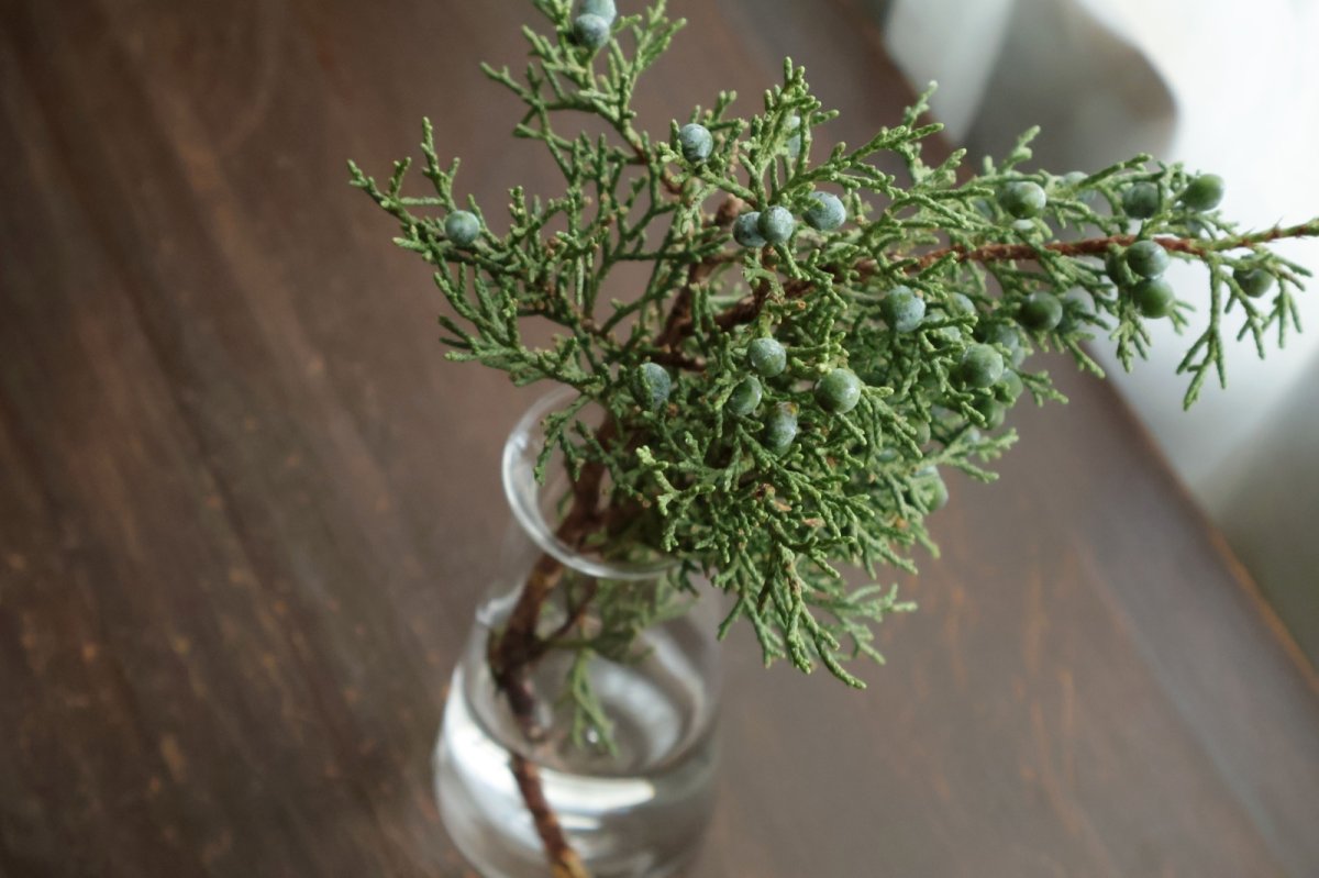 画像9: vase　short　/　津村里佳 (9)