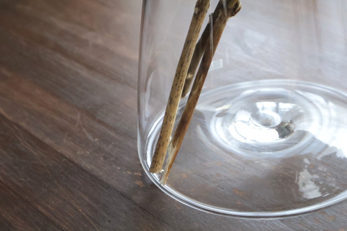 画像8: vase　台形　大　クリア　/　津村里佳 (8)