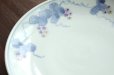 画像4: 色絵葡萄に栗鼠文5寸皿　/　清水なお子