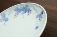 画像5: 色絵葡萄に栗鼠文5寸皿　/　清水なお子