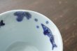 画像5: 色絵魚藻文小鉢　/　清水なお子 (5)