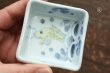 画像7: 色絵絵変わり角豆鉢　/　清水なお子 (7)