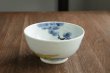 画像1: 色絵飯碗松に虎文　/　清水なお子 (1)