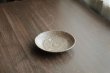 画像1: 長石釉白茶　4寸皿　/　安達健 (1)