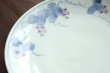 画像4: 色絵葡萄に栗鼠文5寸皿　/　清水なお子 (4)